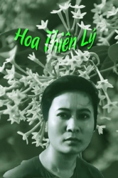Xem Phim Hoa Thiên Lý